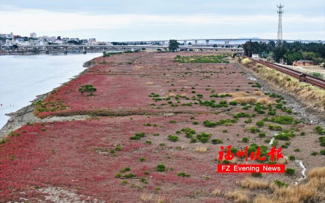 太美了！福州这里“红”了！