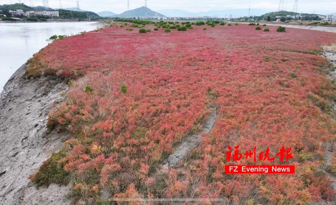太美了！福州这里“红”了！