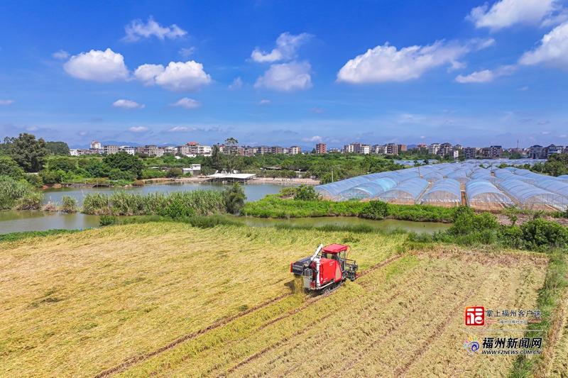 山海来讯｜​福州农企组团“霸榜”！