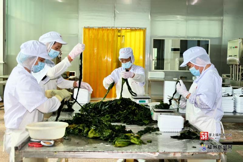 山海来讯｜​福州农企组团“霸榜”！