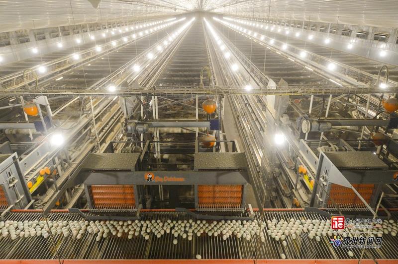 山海来讯｜​福州农企组团“霸榜”！