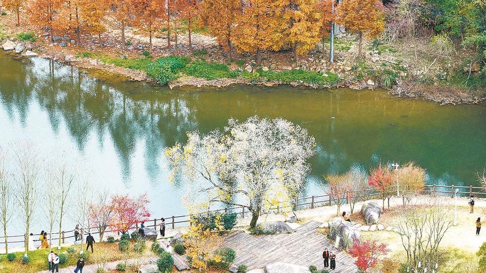 晋安九峰村：冬韵如画