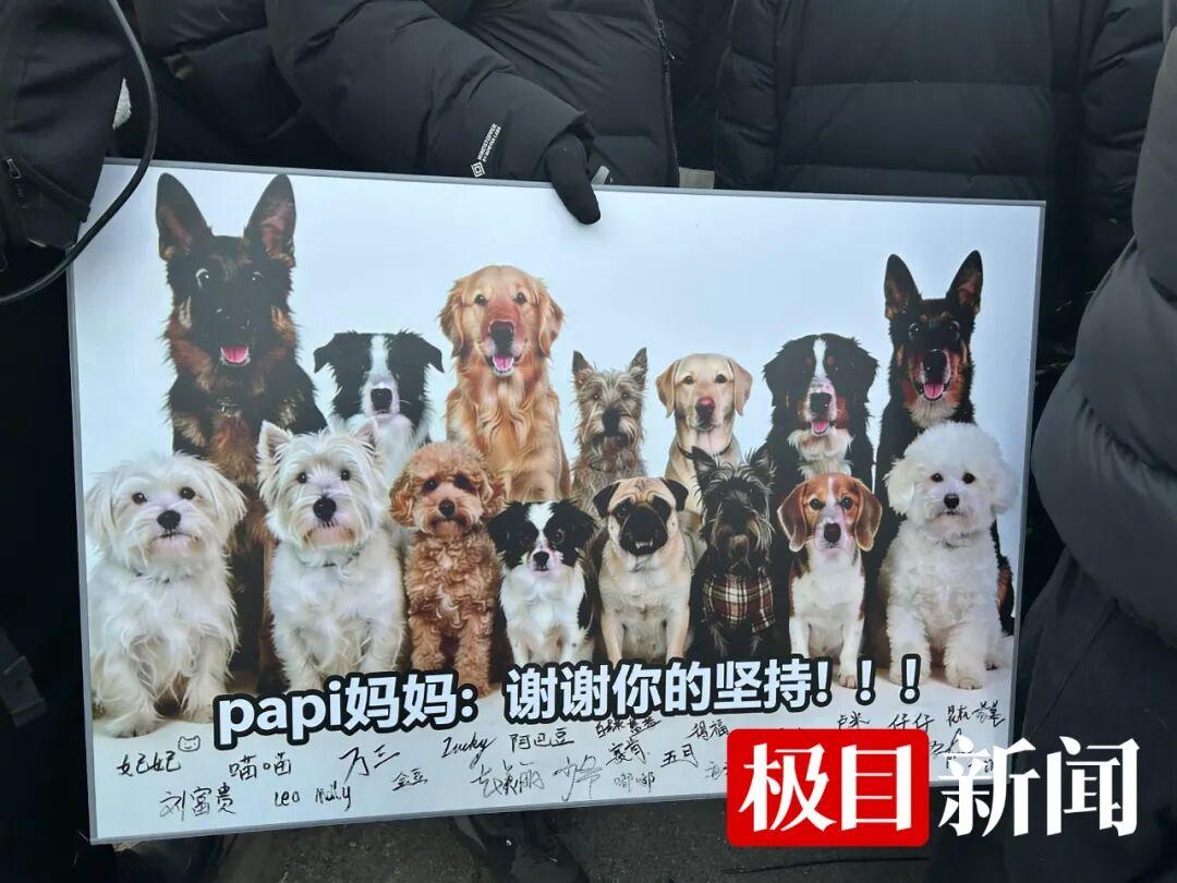 男子投毒致9只宠物狗死亡，因投放危险物质罪获刑4年！狗主人：还将起诉涉事小区物业