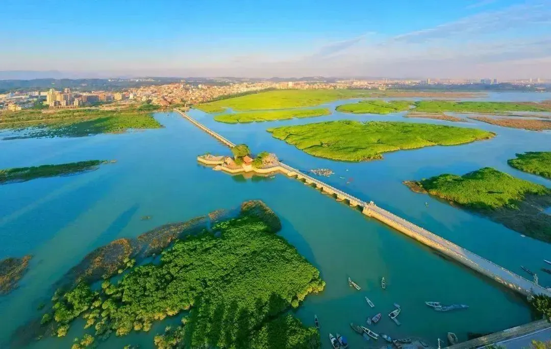 闽人智慧丨宋元中国，刺桐城是怎样当上文明交流互鉴“课代表”的？