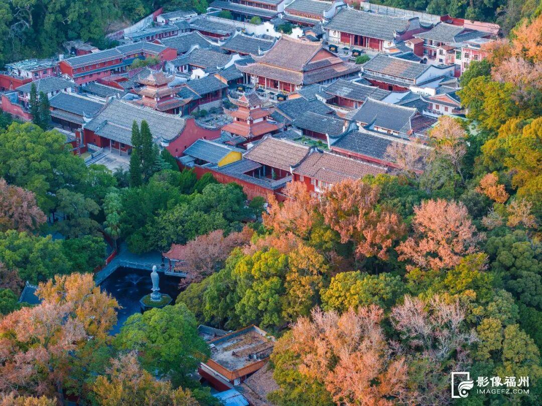 最是橙黄橘绿时！福州迎来最佳赏叶季