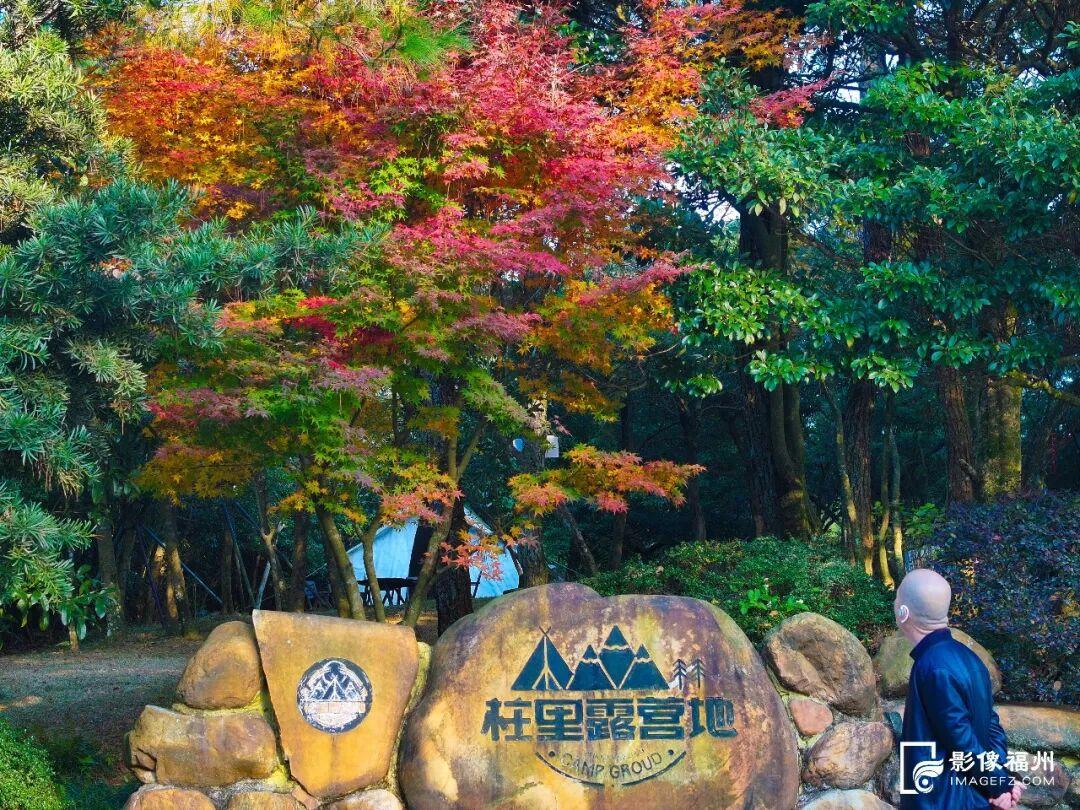 最是橙黄橘绿时！福州迎来最佳赏叶季