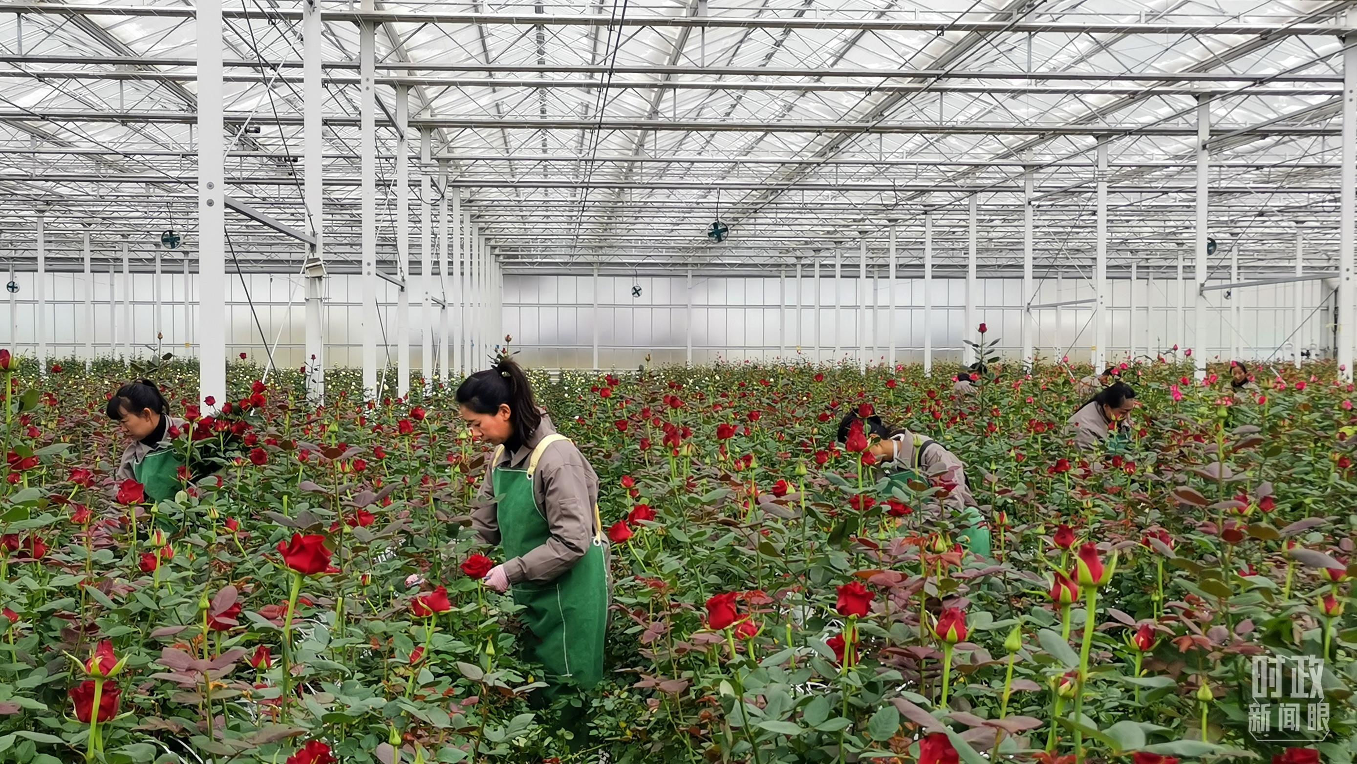 时政新闻眼丨开局之年经济工作有哪些重点？这场会议释放鲜明信号