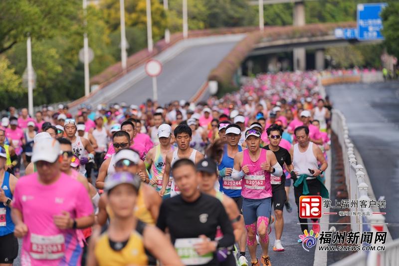 福州马拉松高清图集！有你认识的“跑友”吗？