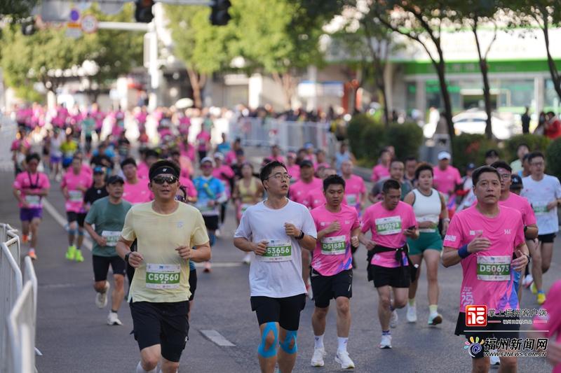 福州马拉松高清图集！有你认识的“跑友”吗？