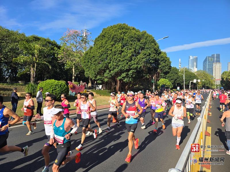 福州马拉松高清图集！有你认识的“跑友”吗？