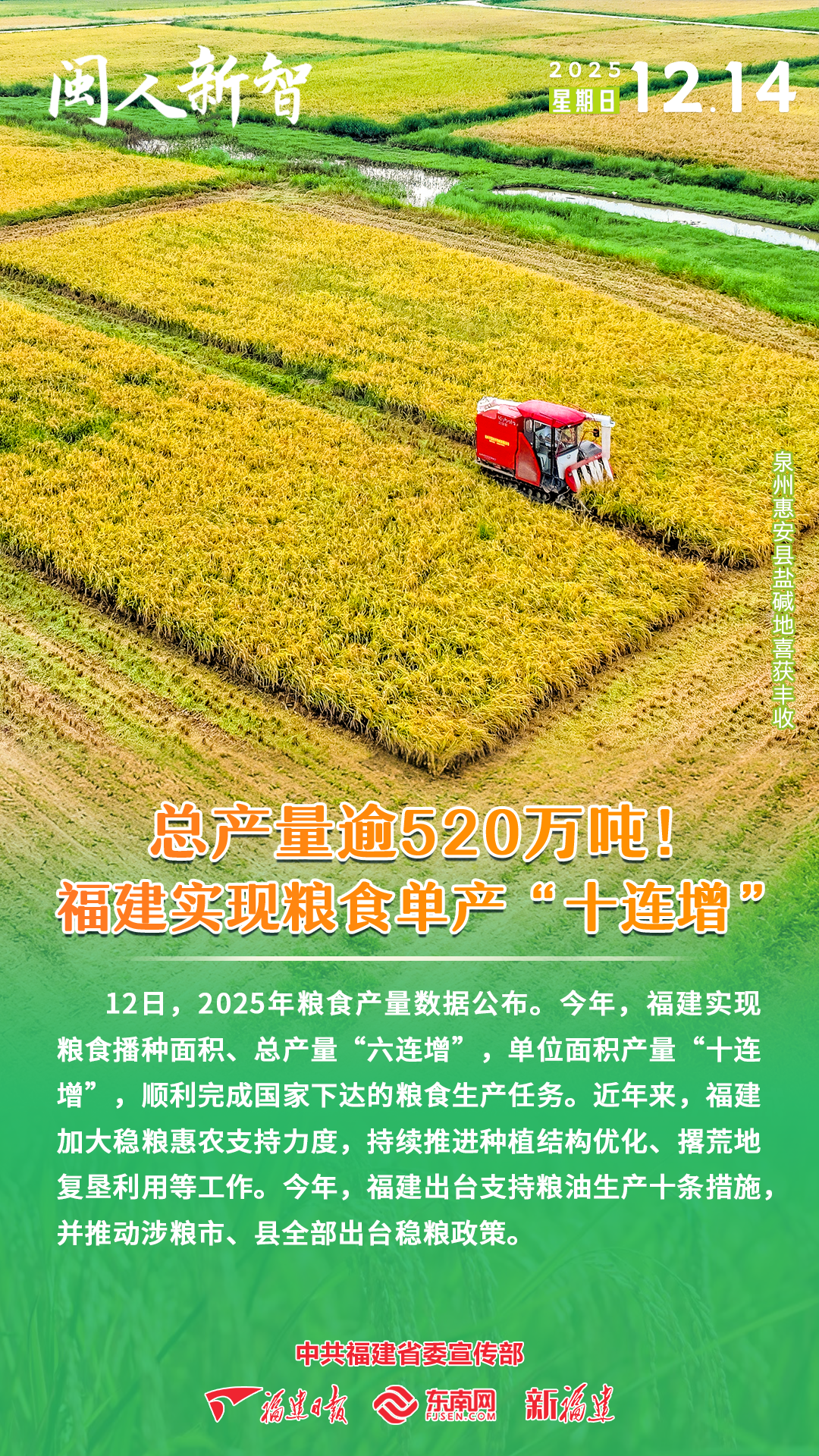 闽人新智 | 总产量逾520万吨！福建实现粮食单产“十连增”