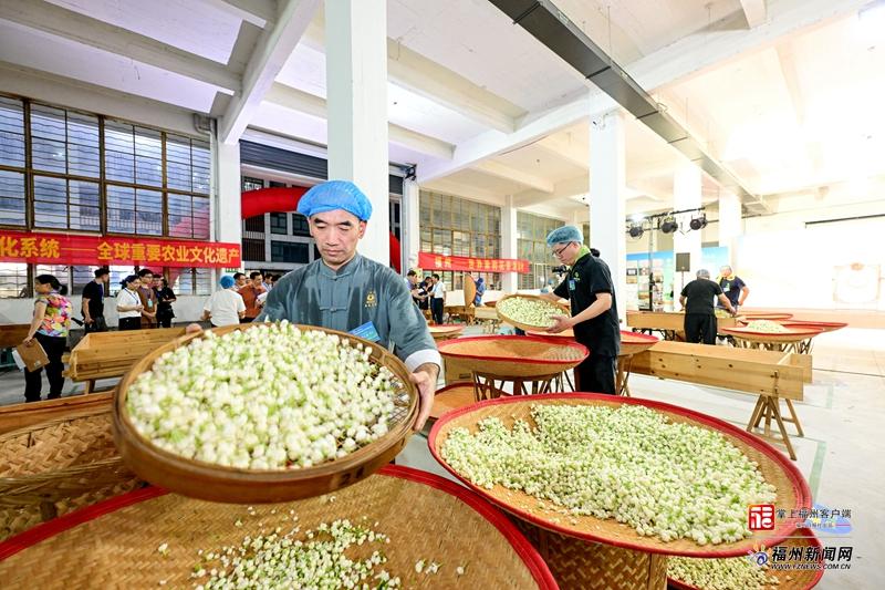 AI看非遗里的福州｜福州茉莉花茶