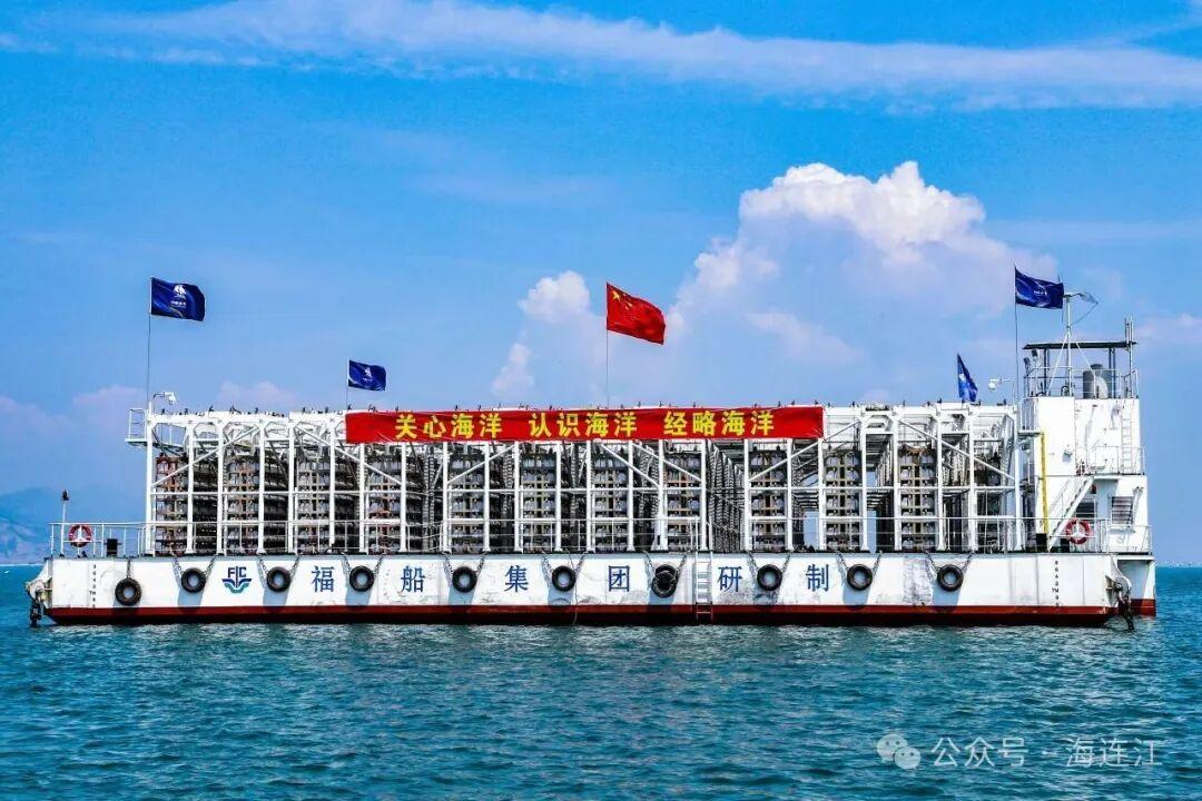 央视报道！连江大黄鱼火热上市，超美味！