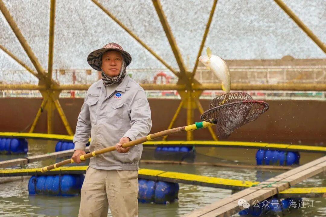 央视报道！连江大黄鱼火热上市，超美味！