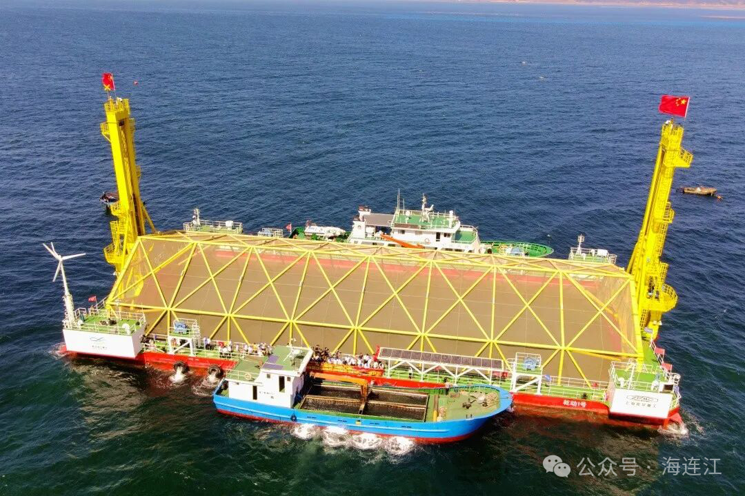 央视报道！连江大黄鱼火热上市，超美味！