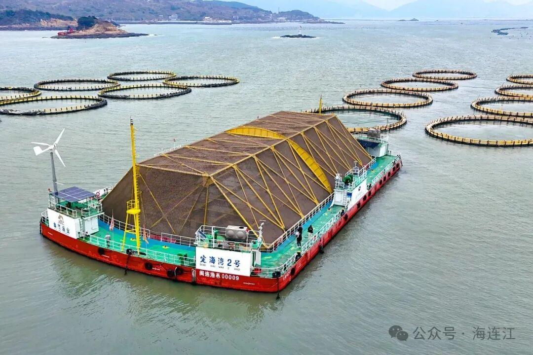 央视报道！连江大黄鱼火热上市，超美味！