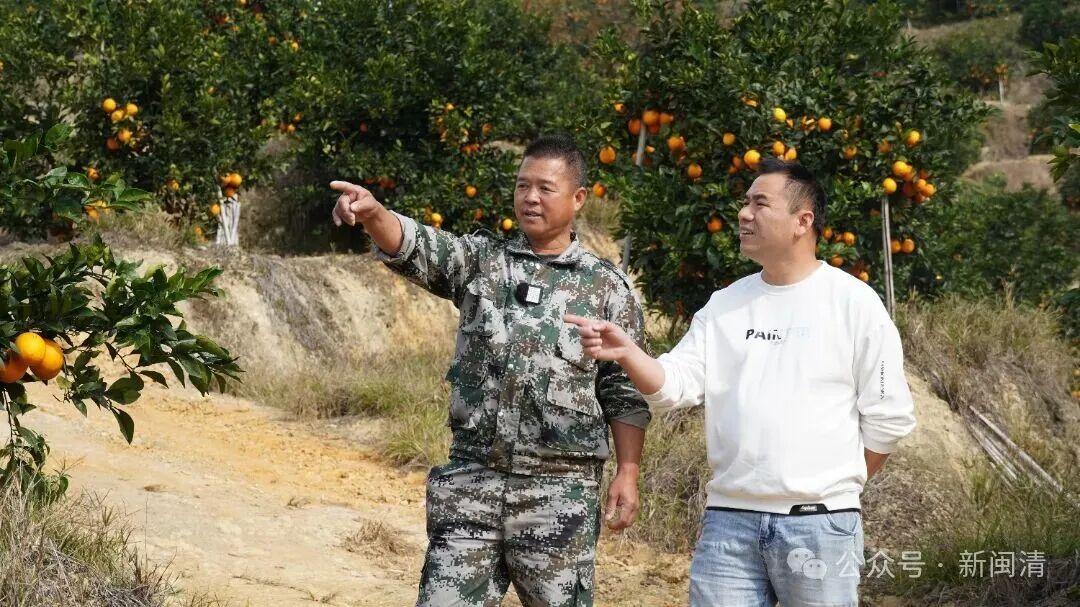 “橙”意满满盼客来！闽清桔林乡脐橙期待拓宽销路