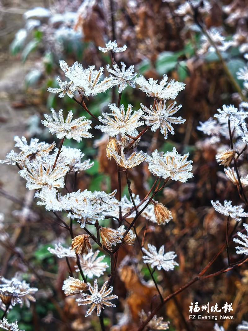 冬霜降闽清 绘就“水晶田园图”