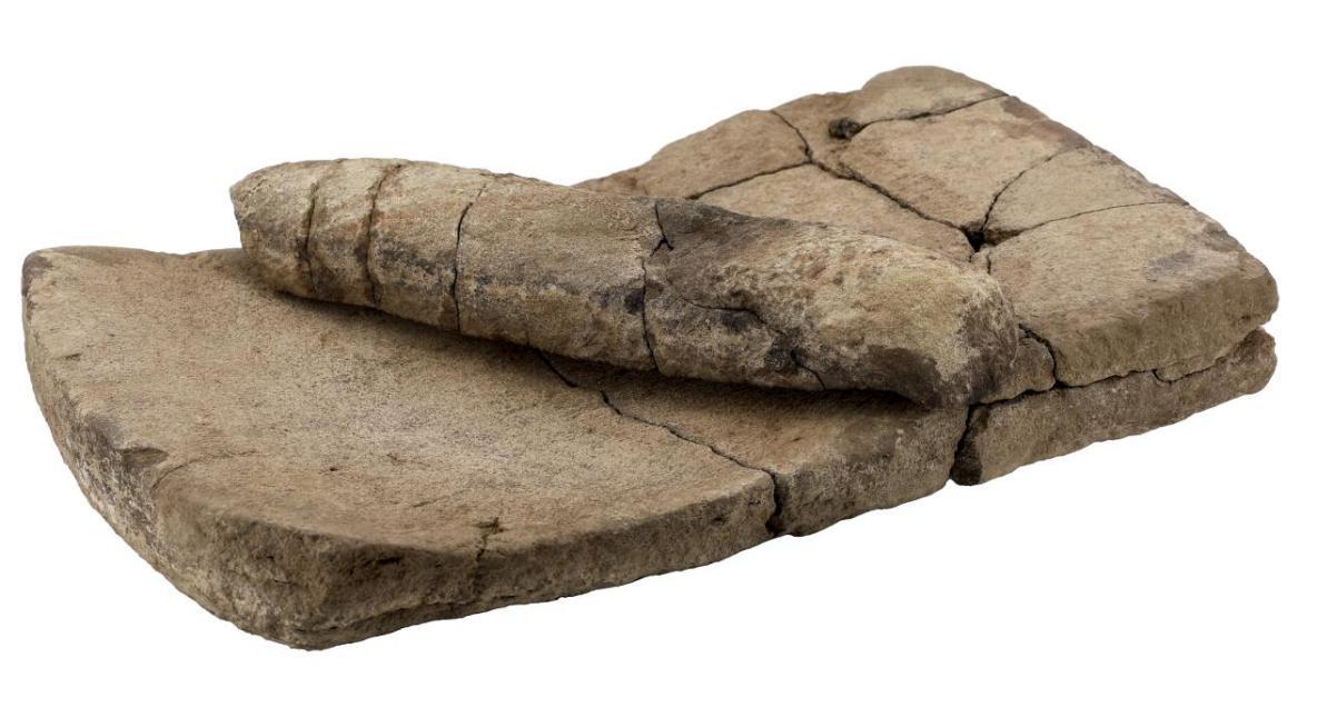 中国两项考古入选世界考古论坛重大田野考古发现成果展示