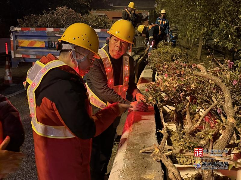 “低空护绿团”上岗 实时护航福州“活化石”