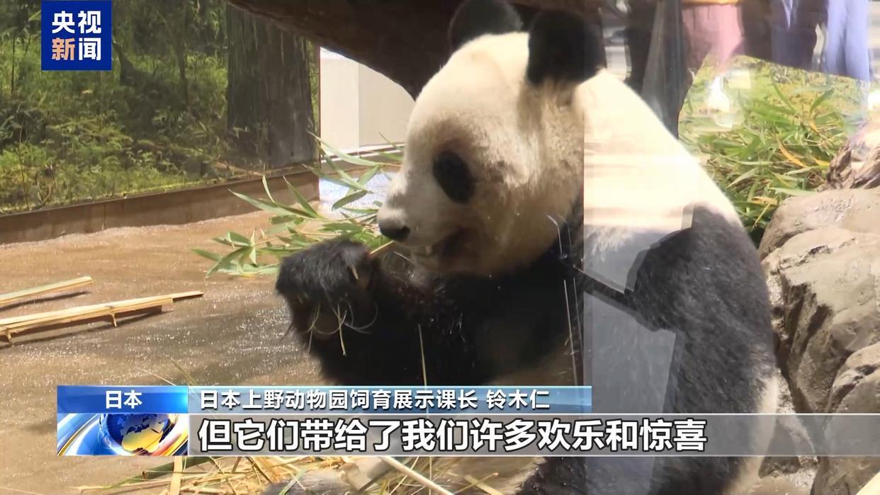 日本民众排队送别大熊猫