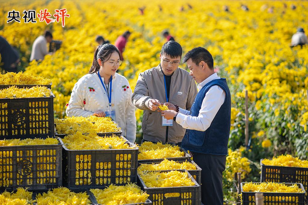 【央视快评】为人民出政绩 以实干出政绩