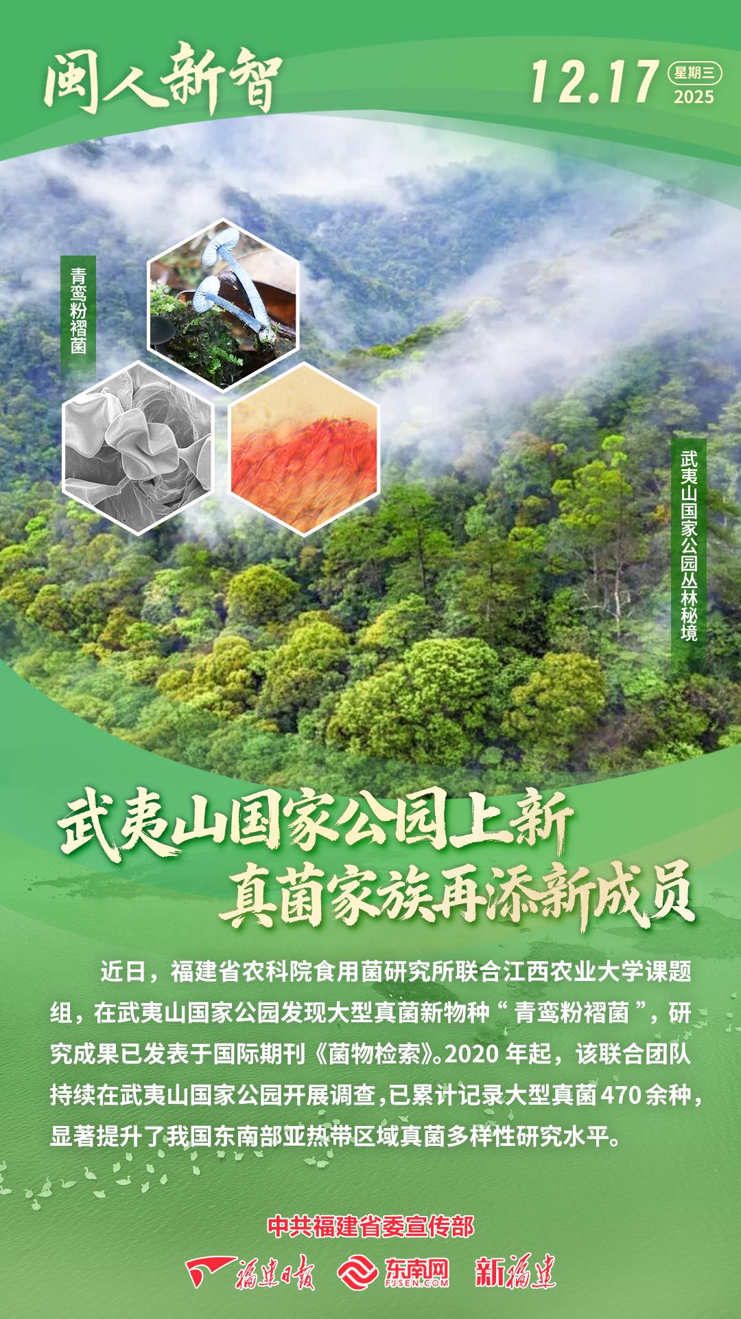闽人新智丨武夷山国家公园上新 真菌家族再添新成员