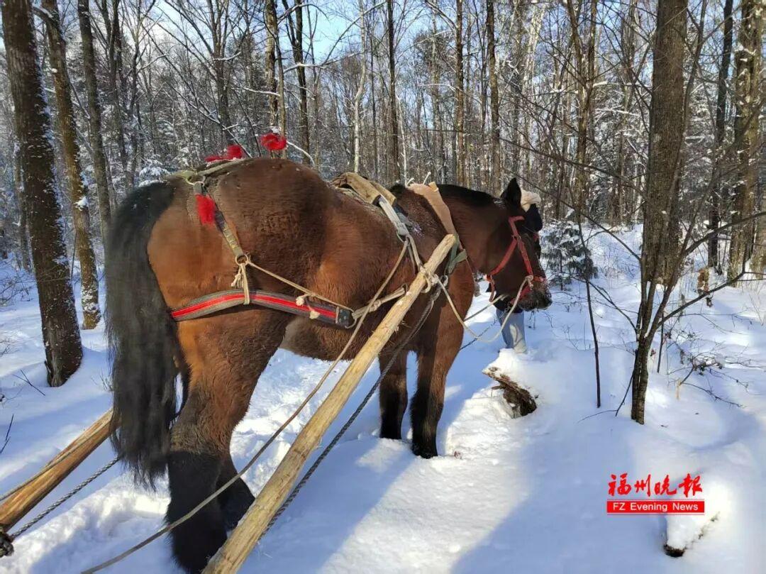 突然火了！订单暴涨！福州人纷纷前往……