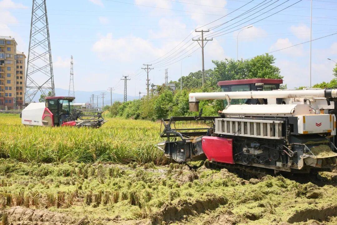 争当全球领跑者！福州新区（长乐区）企业的“十五五”雄心藏不住了