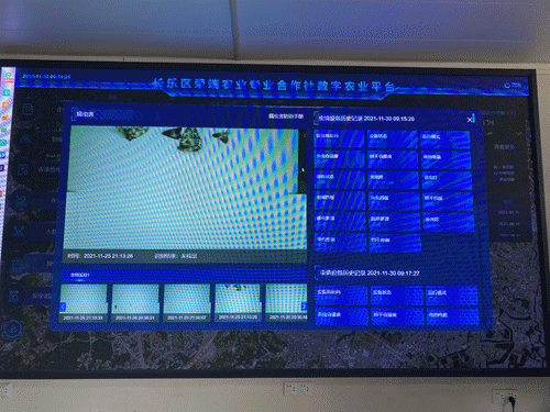 争当全球领跑者！福州新区（长乐区）企业的“十五五”雄心藏不住了