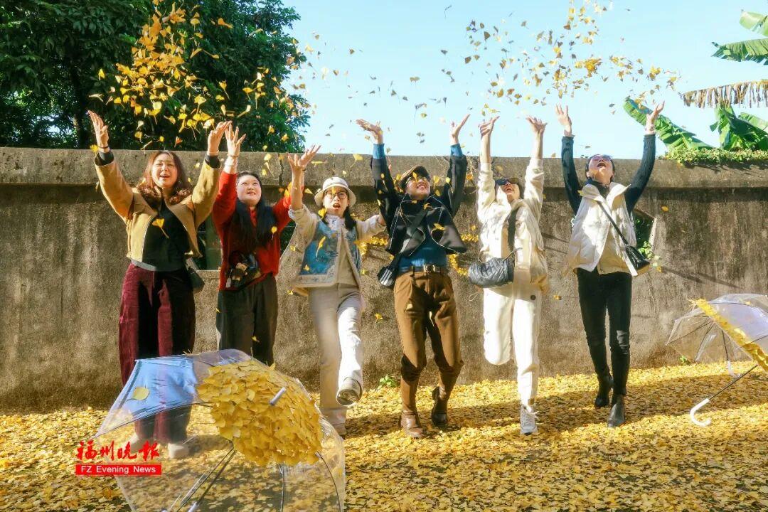 黄了！红了！福州大面积上新！颜值高峰！