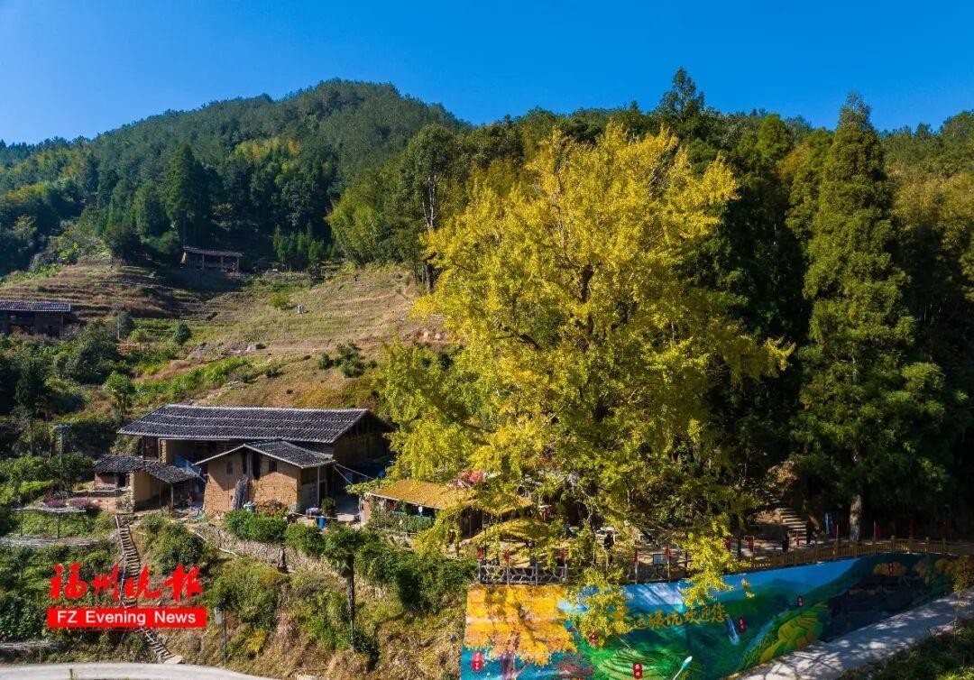 黄了！红了！福州大面积上新！颜值高峰！