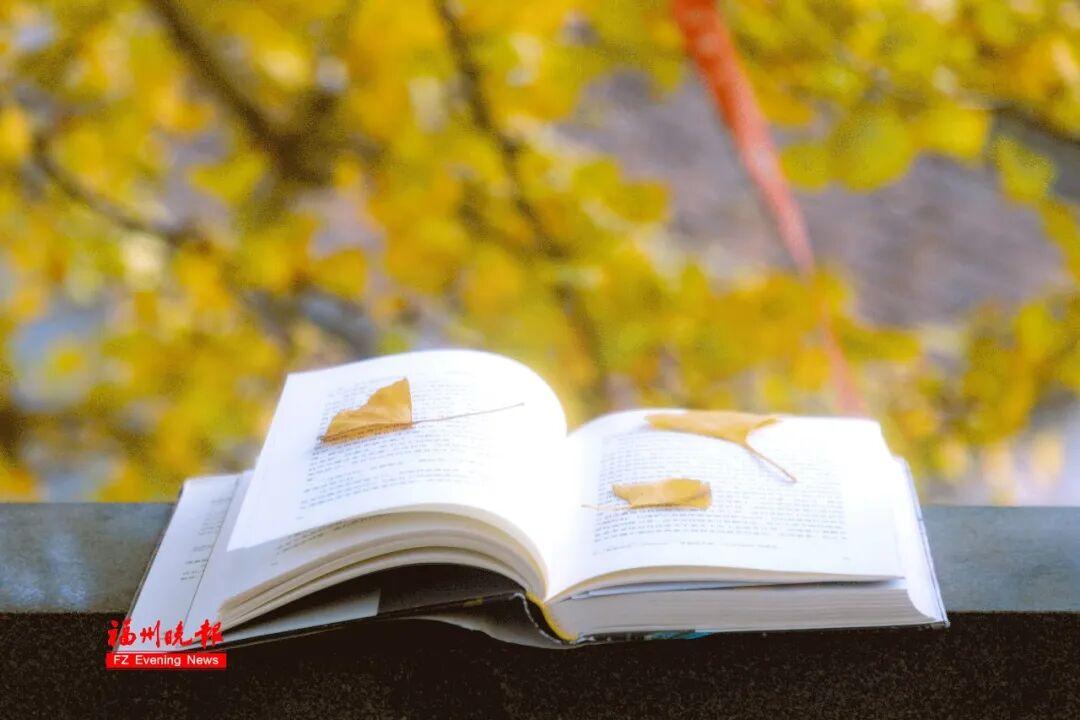 黄了！红了！福州大面积上新！颜值高峰！