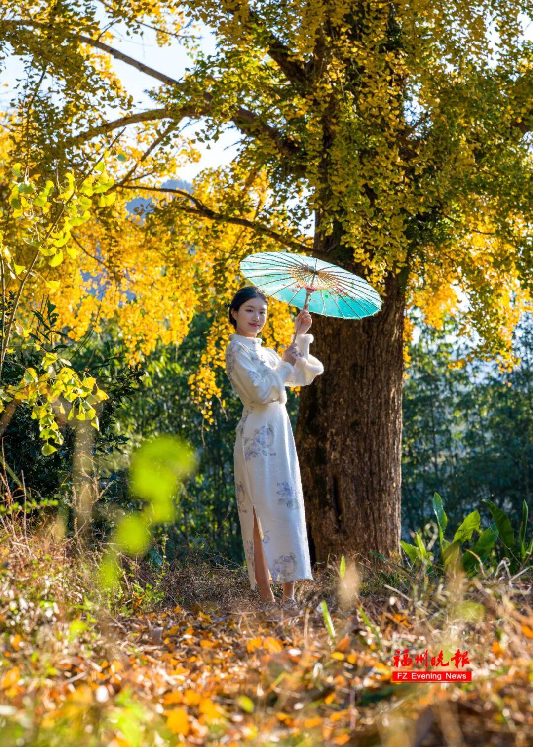 黄了！红了！福州大面积上新！颜值高峰！