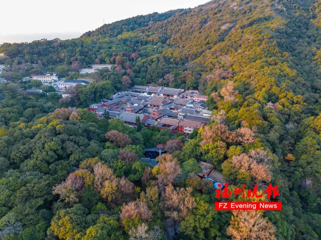 黄了！红了！福州大面积上新！颜值高峰！