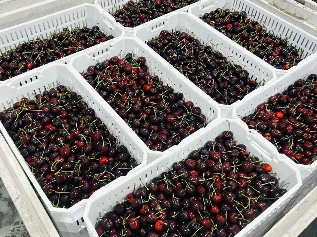 价格跳水！福州大量上市！买了吗？