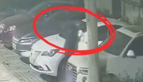 看到立即报警!这种小卡片竟是电诈引流工具 看到立即报警!这种小卡片竟是电诈引流工具