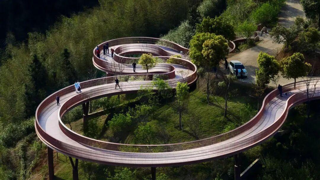 闽人智慧丨一杯坦洋工夫里的醇厚牵挂与富民产业