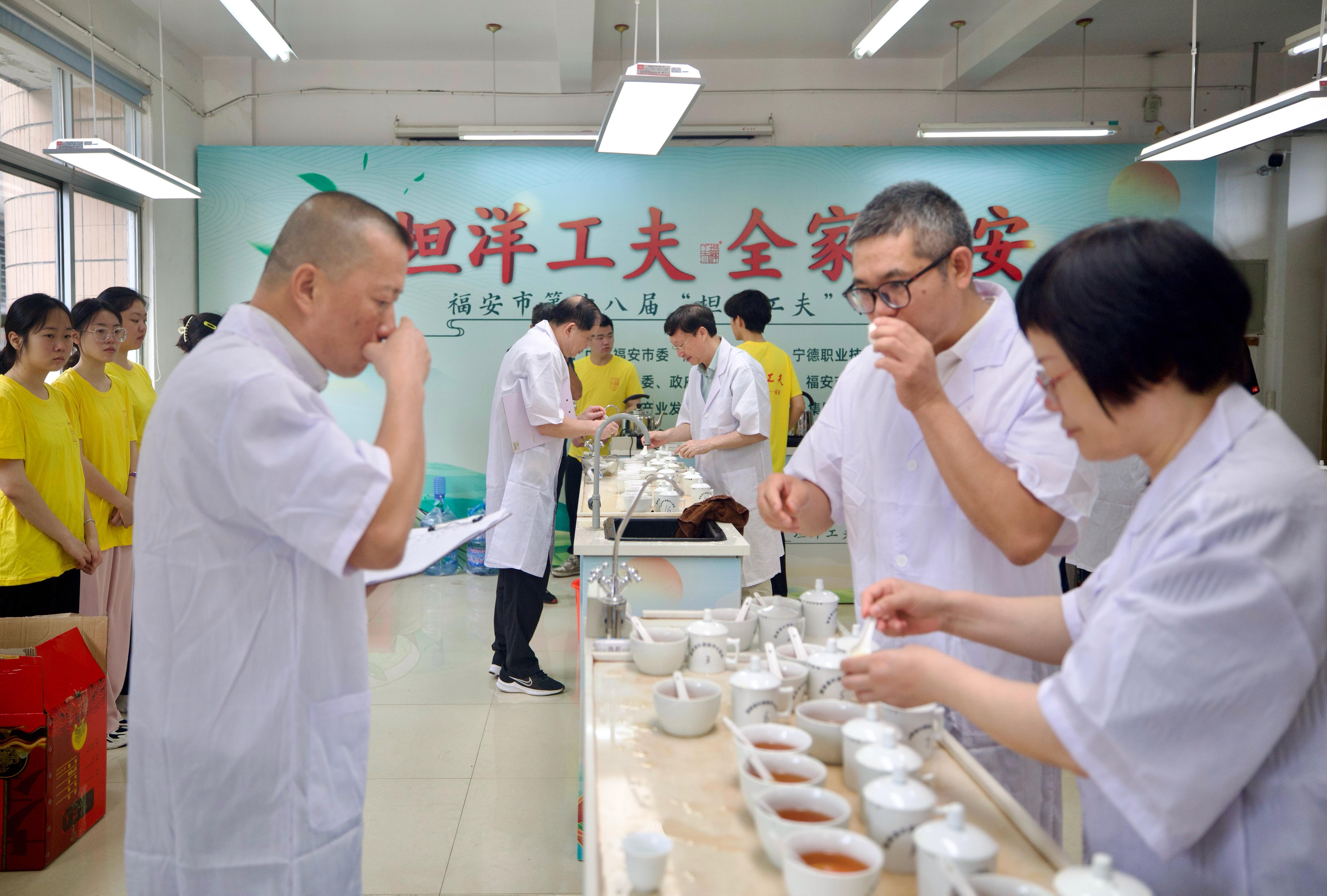 闽人智慧丨一杯坦洋工夫里的醇厚牵挂与富民产业