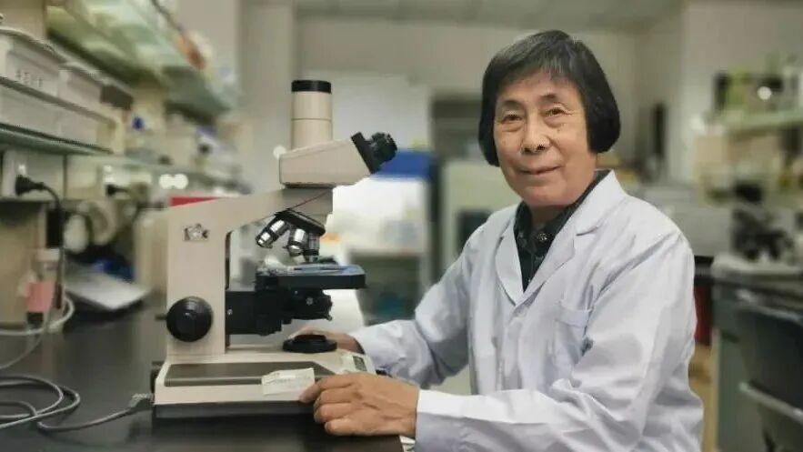 闽人智慧 | 从科举“顶流”到院士之乡，福州人的“学霸基因”藏不住了！