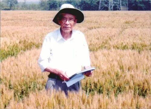 闽人智慧 | 从科举“顶流”到院士之乡，福州人的“学霸基因”藏不住了！