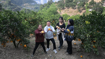 山海来讯｜果农抱团“开播”，好果子竟能“翻山越岭”！