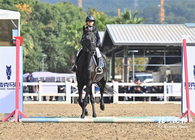 福建首届青少年马术锦标赛开赛
