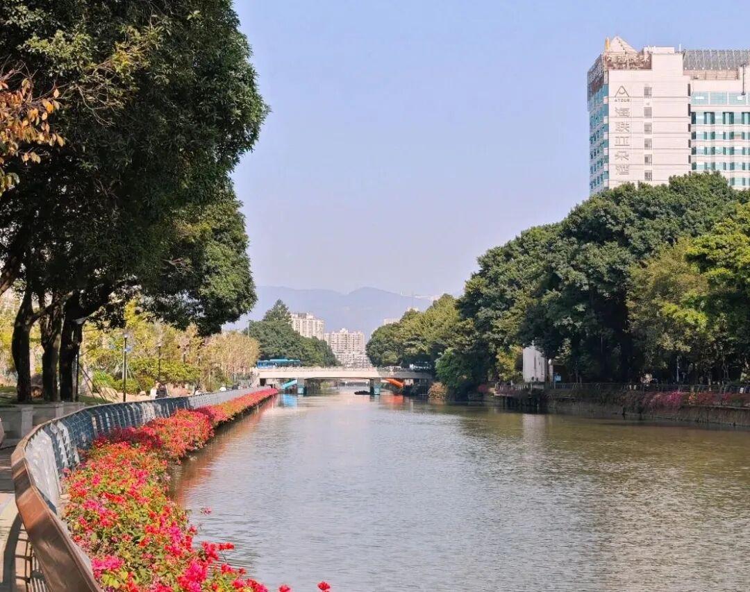 低温仅剩个位数！福州将迎大降温！还有中雨和大风……