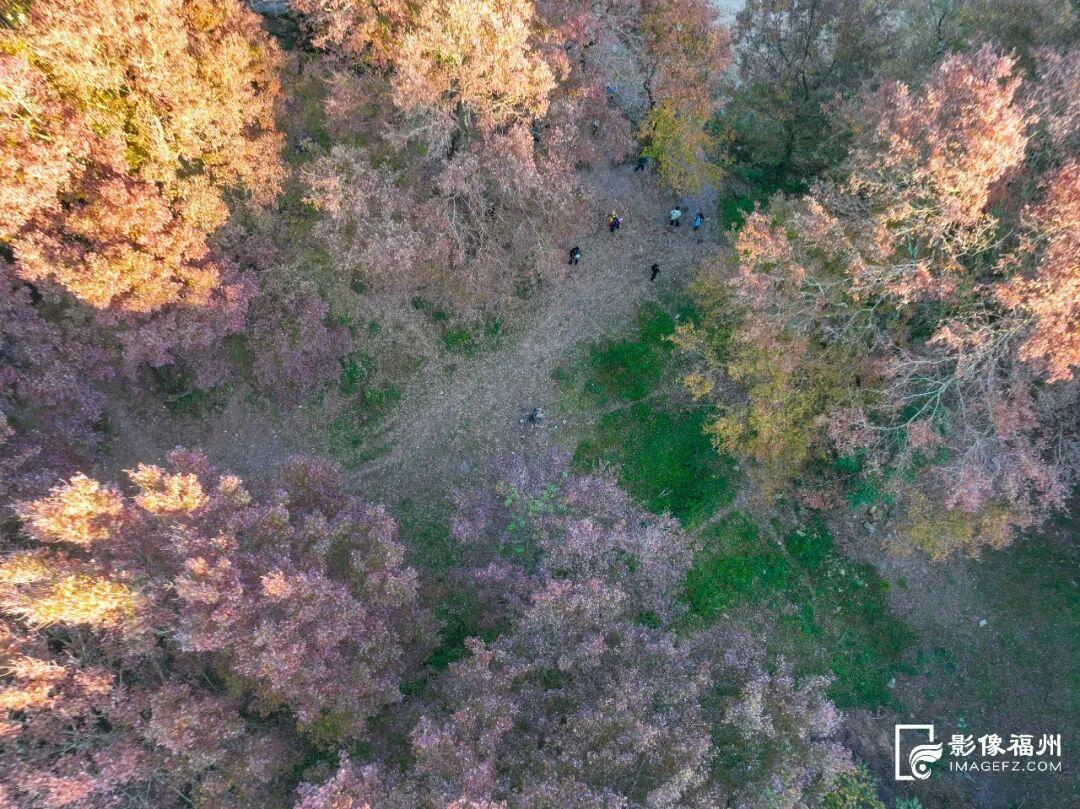 “枫”情万种！福州这里美不胜收！