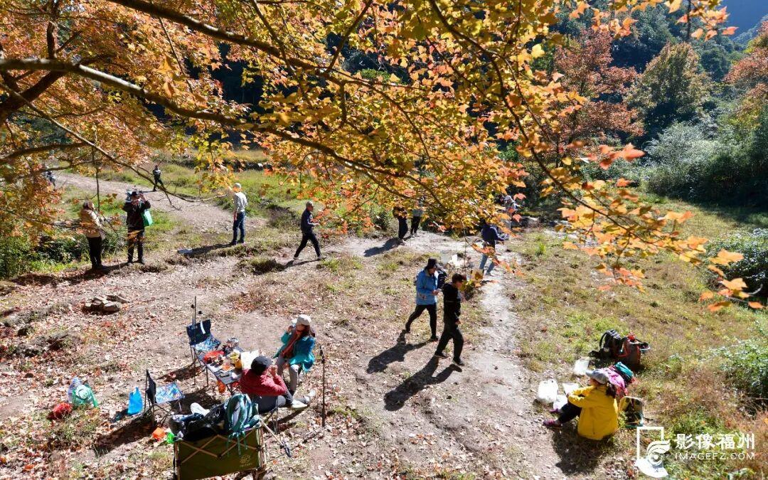“枫”情万种！福州这里美不胜收！