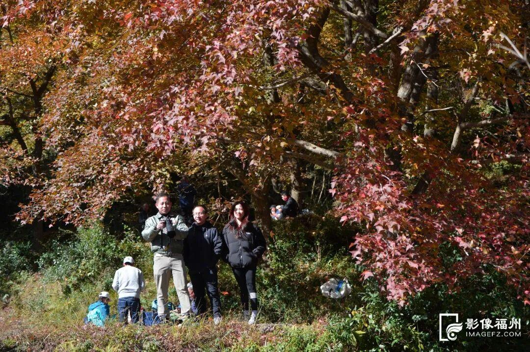 “枫”情万种！福州这里美不胜收！