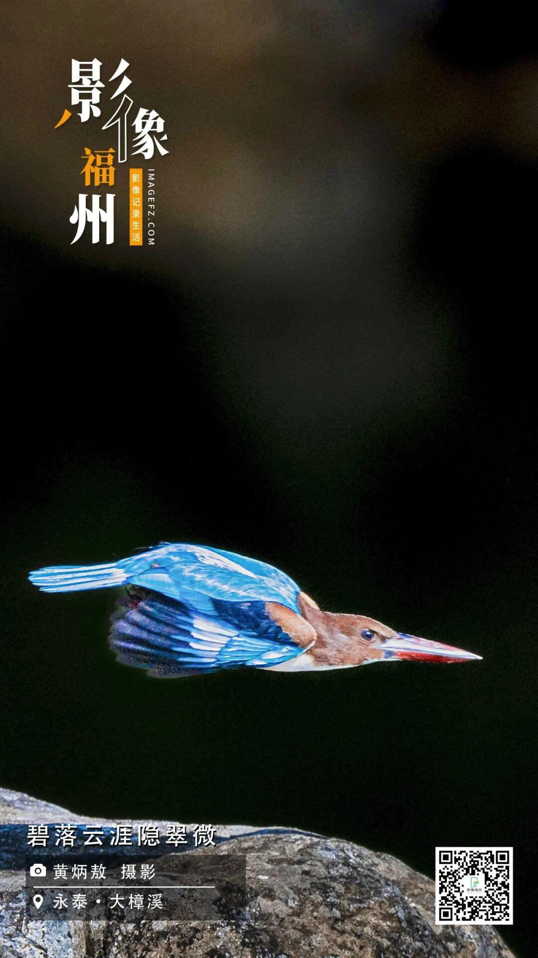 影像福州丨碧落云涯隐翠微