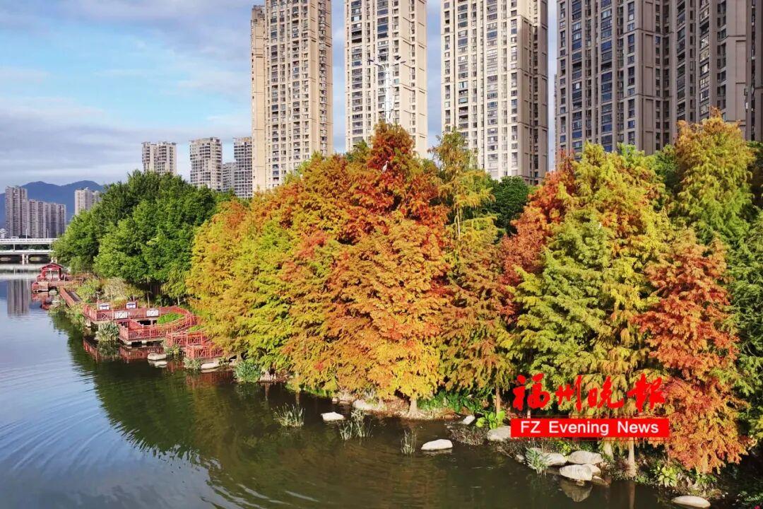 福州网红公园又火了！很多人正在赶去！