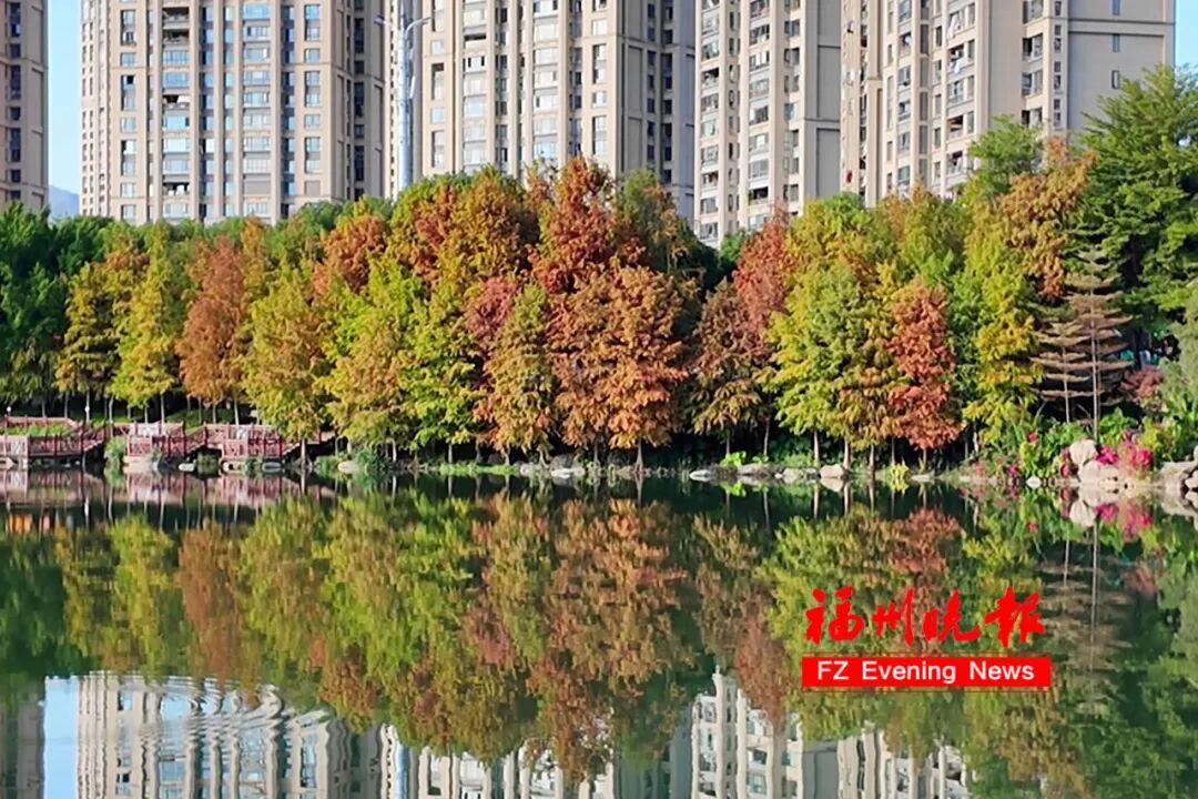 福州网红公园又火了！很多人正在赶去！